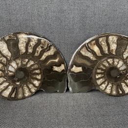 Harpoceras sp Ammonite Polished Pair, Rare Calcite Fossil Whitby Fossils4sale Stone Treasures